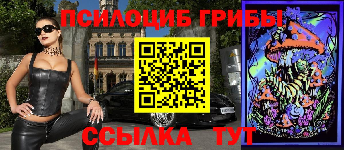 Галлюциногенные грибы Psilocybine cubensis  Вход с VPN  Нефтеюганск 