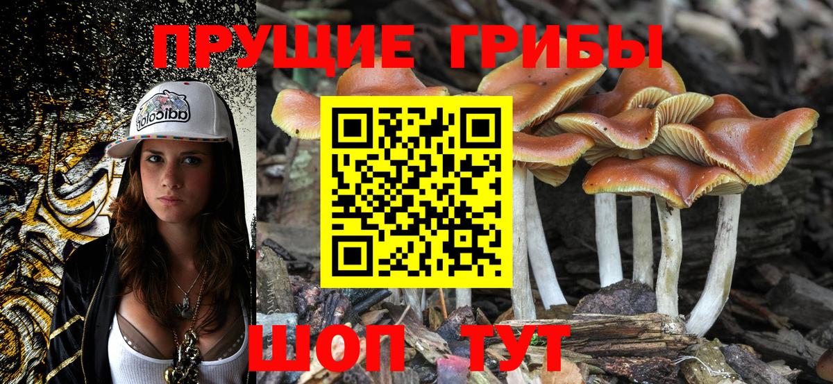 Галлюциногенные грибы Magic Shrooms Нефтеюганск